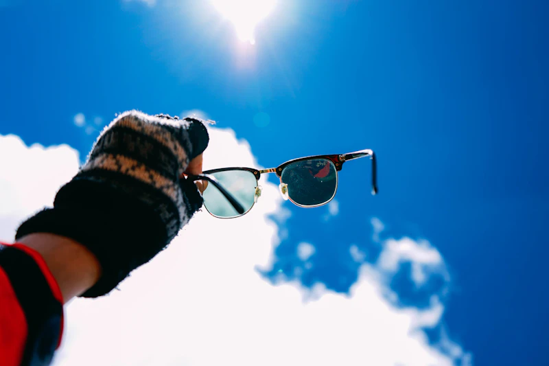 Browline Sunglasses