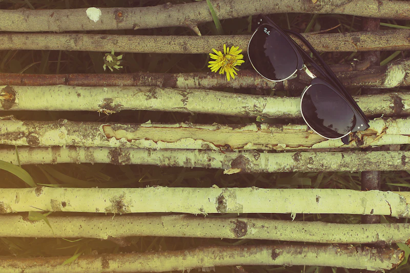 Flat Top Sunglasses